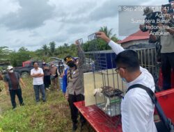 Kapolres Bersama BKSDA Agam Lepas Liarkan Satwa Yang Di Lindungi Di Habitatnya