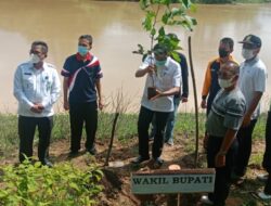 Ikuti Pencanangan Gerakan Batanghari Bersih Serentak se-Provinsi Jambi,Wabup Bungo Tanam Pohon Dan Tabur Ratusan Benih Ikan.