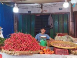 Harga Cabe Merah di Bungo Melejit 100 Ribu Per Kilogram, Pedagang Keluhkan Omzet Turun