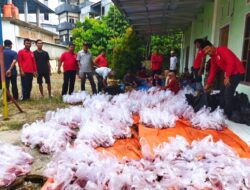 Hari Raya Idul Adha, Ikatan Keluarga Agam Bukit Tinggi Bungo Kurban 5 Ekor Sapi.