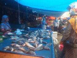 Barbeque Malam Tahun Baru, Harga Ikan Nila Dan Ayam di Bungo Tembus Rp 40 Ribu Per Kilogram