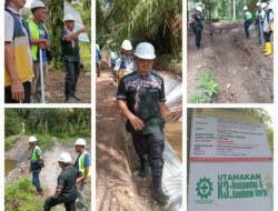 Kabid Dinas PSDA Kabupaten Agam Turun Langsung Tinjau Proyek Irigasi Di Kecamatan Tanjung Mutiara