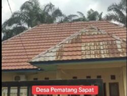 Diminta APH lakukan auditoring penggunaan anggaran desa pematang sapat