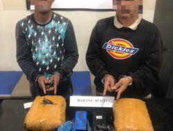 Tim Kelelawar Polres Agam, Berhasil Amankan Pengedar Narkoba Jenis Ganja
