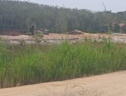 Merasa Aman, PETI Bebas Beroperasi di Duga Lahan Milik Pemerintah, Kok Bisa..???