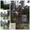 Nagari Gasan Gadang Butuh Penambahan Tower Jaringan Telekomunikasi
