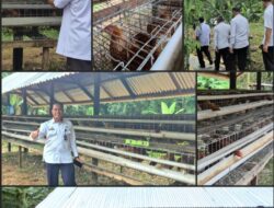 Peresmian Usaha Peternakan Ayam Petelur Di Lingkungan SAE Lapas Kelas ll B Lubuk Basung Berlangsung Sukses