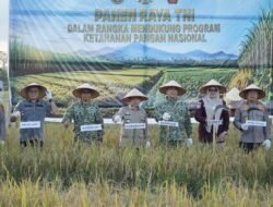 Gubernur Al Haris Hadiri Panen Raya TNI di Desa Kota Baru Geragai, Dukung Ketahanan Pangan