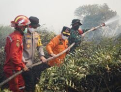 Tak Gentar Lewati Medan Sulit, Al Haris Berjibaku Padamkan Karhutla di Pelosok Tanjabtim