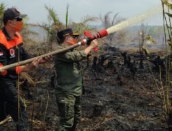 Turun Langsung Padamkan Karhutla di Air Merah, Gubernur Al Haris: Api Sudah 3 Hari, Gambut Sulit Dipadamkan